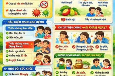 Phòng, chống bệnh do vi rus Nipan